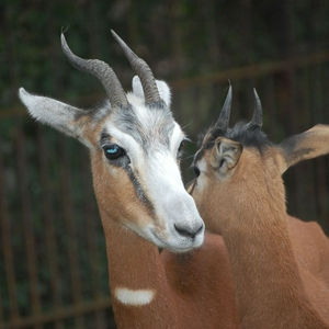 DSC_5498.jpg