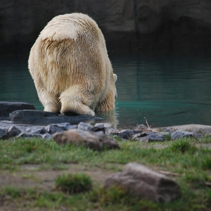 DSC_0132.jpg