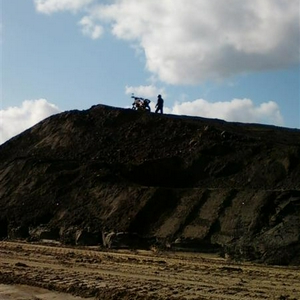 Foto0010 (Medium).jpg