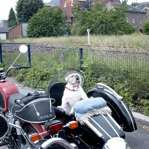 voorstelling