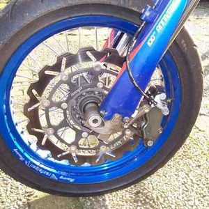 husky 002.jpg