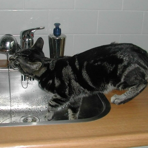 DSCN3600.jpg