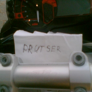 Prudser