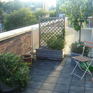 Dakterras