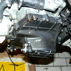 P1070085 (Medium).JPG