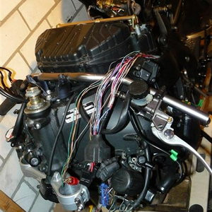 P1070220 (Medium).JPG