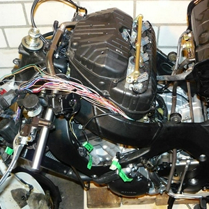 P1070221 (Medium).JPG