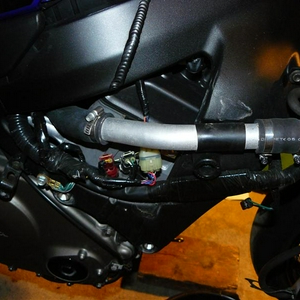 P1070087 (Medium).JPG