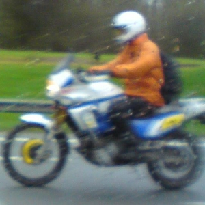 Gespot 25032009