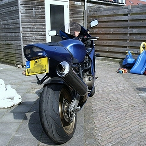 sized_4050308_verkleind.JPG