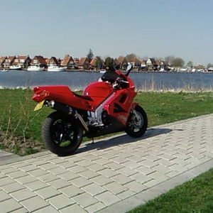 SP_A0352.jpg
