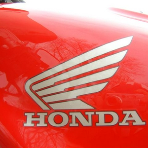 SA505494 (Small).JPG