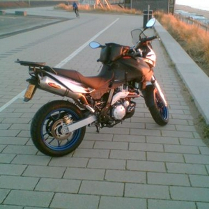 pegaso-sm.jpg