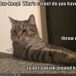 Bar (WinCE).bmp