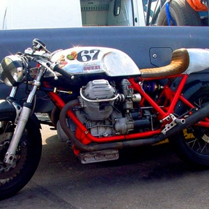 guzzizagato1.jpg