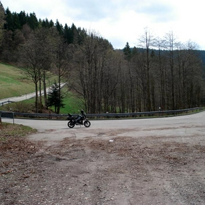 DSC01335.jpg
