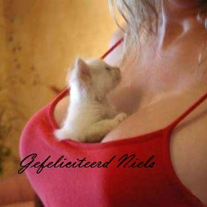 poes_tussen_borsten1.JPG