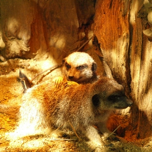 20090425__38sm.jpg