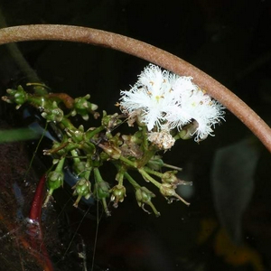 P5020163.JPG