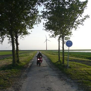 polderrit 8