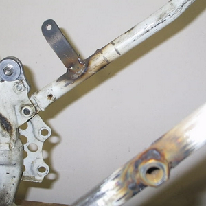 cr 500 beest 004.JPG