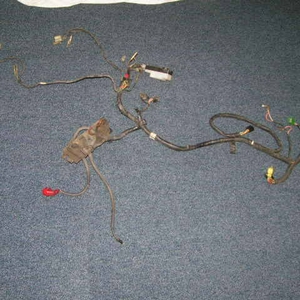 PICT2009.jpg