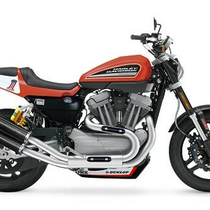 HD_XR1200_Trophy_Replica_5.jpg