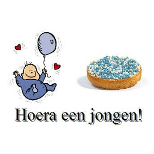 tablet_hoera_een_jongen.jpg