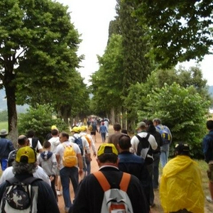 DSC01261.JPG