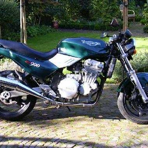 Triumph Trident 900  - Speed Triple incognito