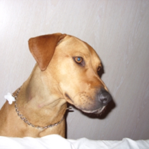 SDC10149.bmp