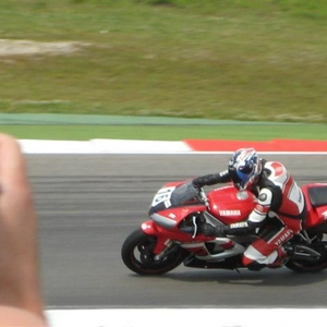MF 017 (Small).jpg