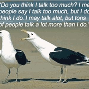 talktoomuch.gif