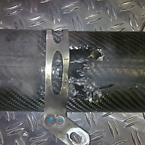 muizen in demper