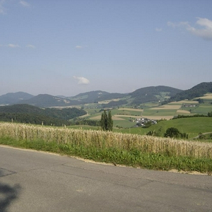 DSC00063.JPG