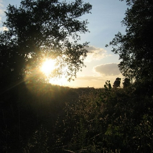 Biertje duinen.JPG