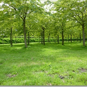 p1000773a.JPG