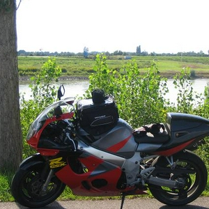 IMG_2304.jpg
