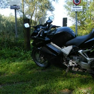 foto10.jpg