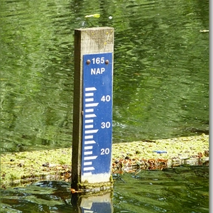 p1000801a.JPG
