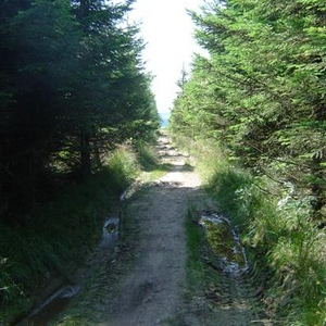 DSC05962 (Medium).JPG
