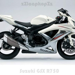 090805 - GSX R750 White.jpg