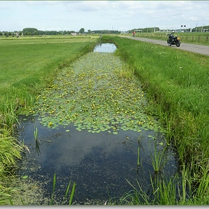 p1000915a.JPG