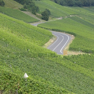 piesport.jpg