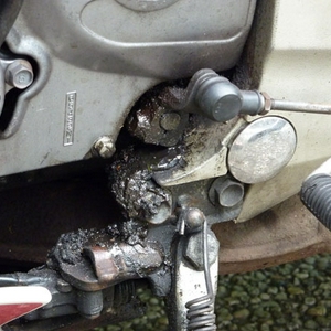 small_P1000419.jpg