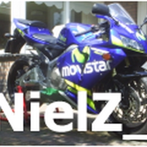 NielZ_.PNG