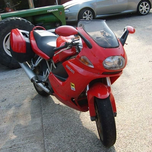 duc 1.jpg