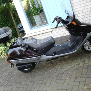 DSC04284 (Large).JPG