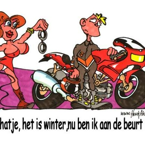 mooi.jpg