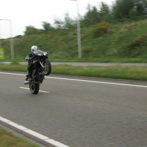 MFMM004.jpg
